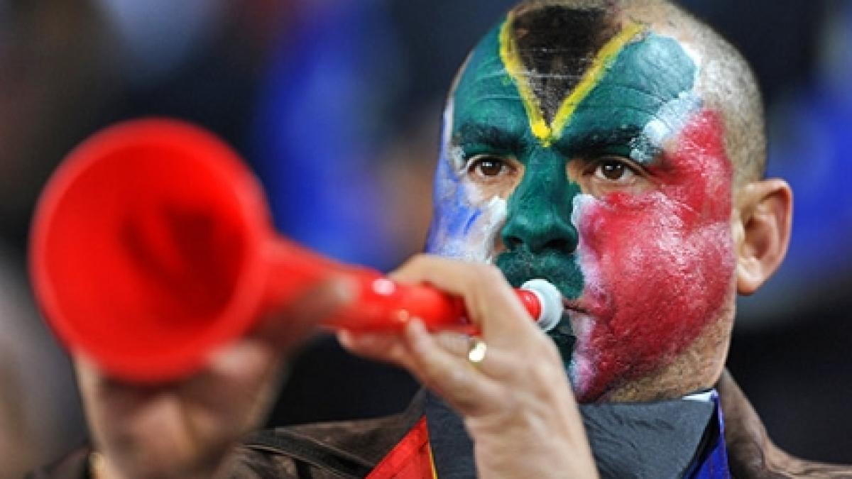 floarea vuvuzela o planta din africa de sud va purta numele celebrei trompete