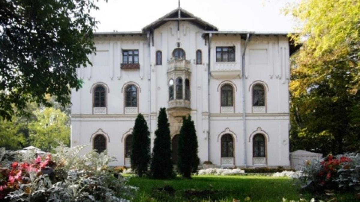 ministerul culturii hunor si paleologu dati in judecata de proprietarul palatului stirbei