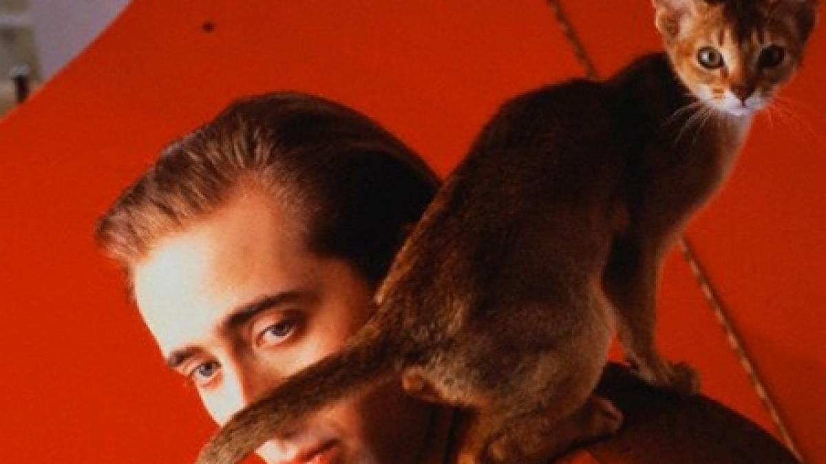 nicolas cage m am drogat alaturi de un motan si l am confundat cu fratele meu video