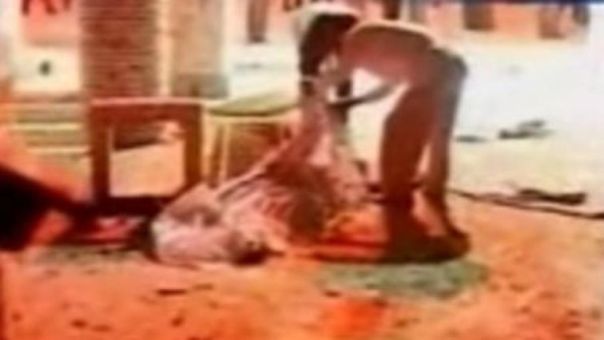 iranul acuza tarile occidentale si israelul de atentatul de vineri soldat cu 27 de morti si 250 de