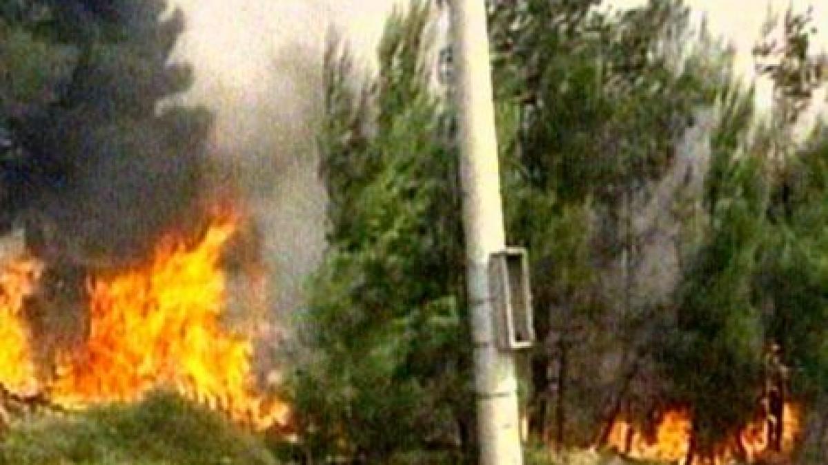 grecia peste 100 de pompieri s au luptat cu doua incendii izbucnite la 40 de km de atena video