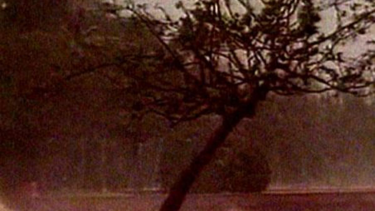 o tornada a provocat moartea a trei oameni in puerto rico respectiv 70 in filipine si china video