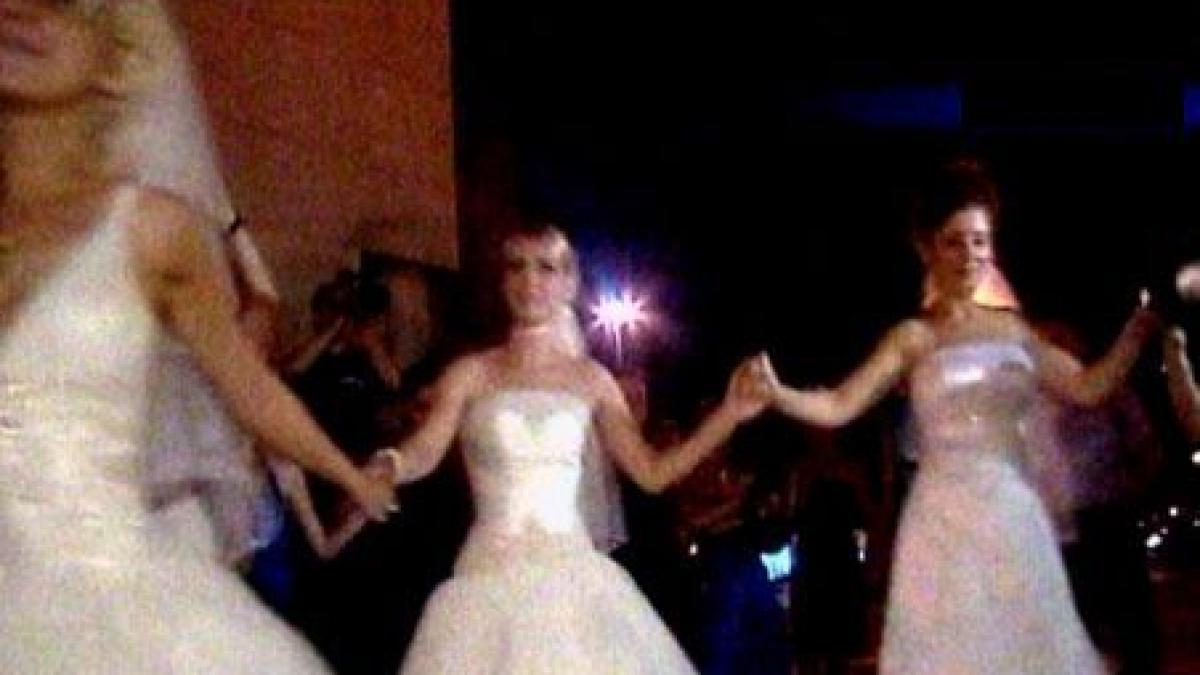 peste 20 de mirese furate si aduse la arcul de triumf video