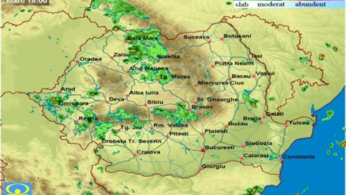 cod galben de furtuni pentru municipiul timisoara si baia mare