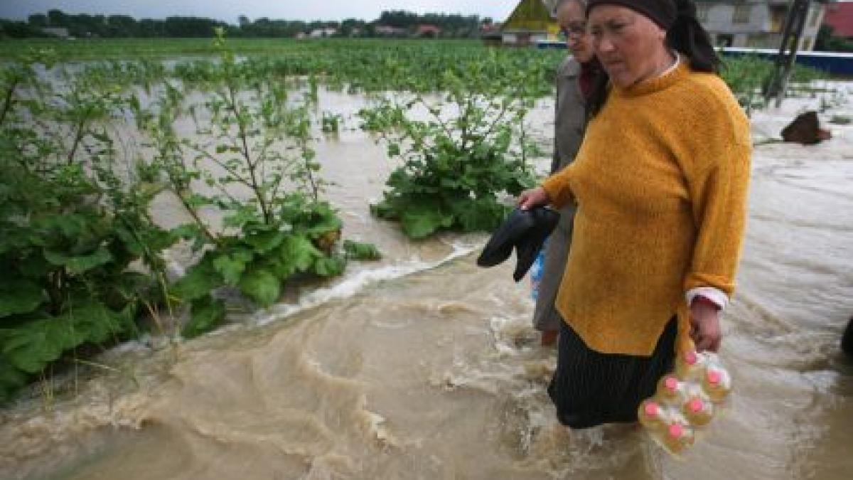 executivul da bani pentru amenajarea de spatii verzi in zonele afectate de inundatii