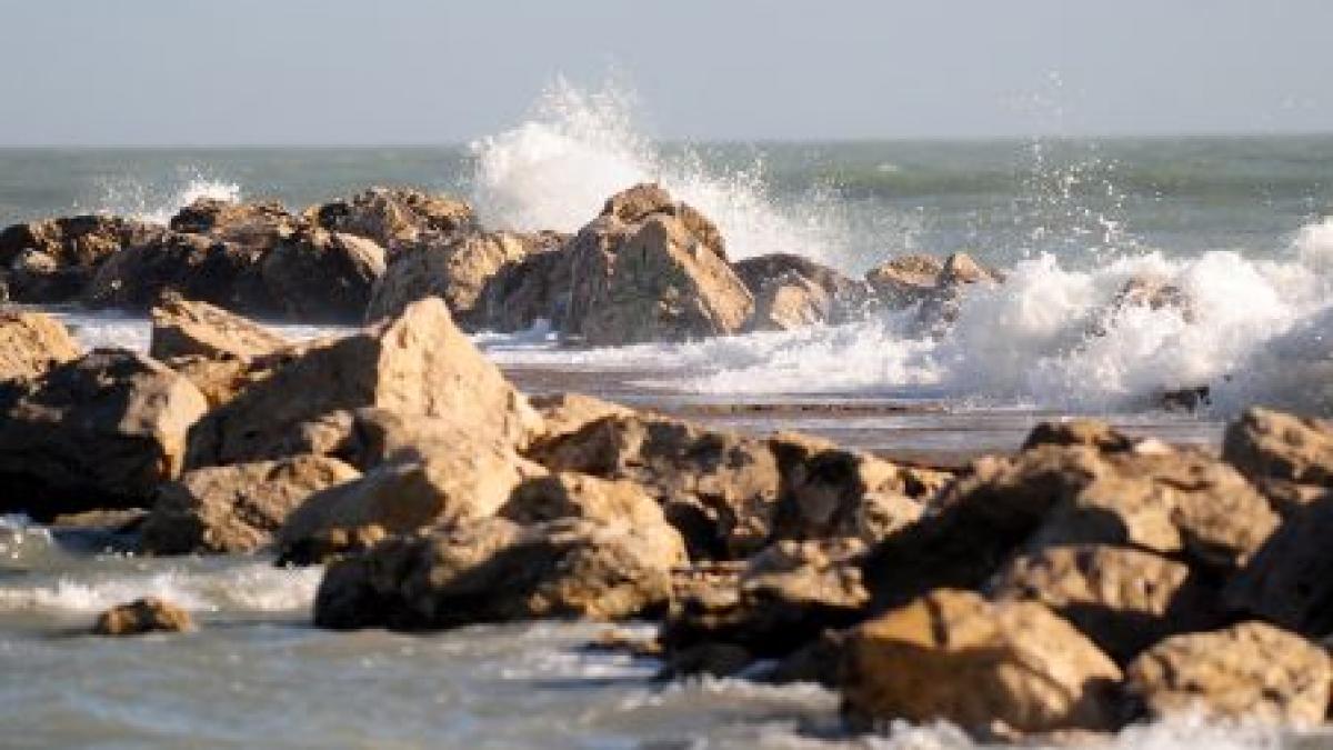 nivelul mare al dunarii alunga pestii din marea neagra in larg