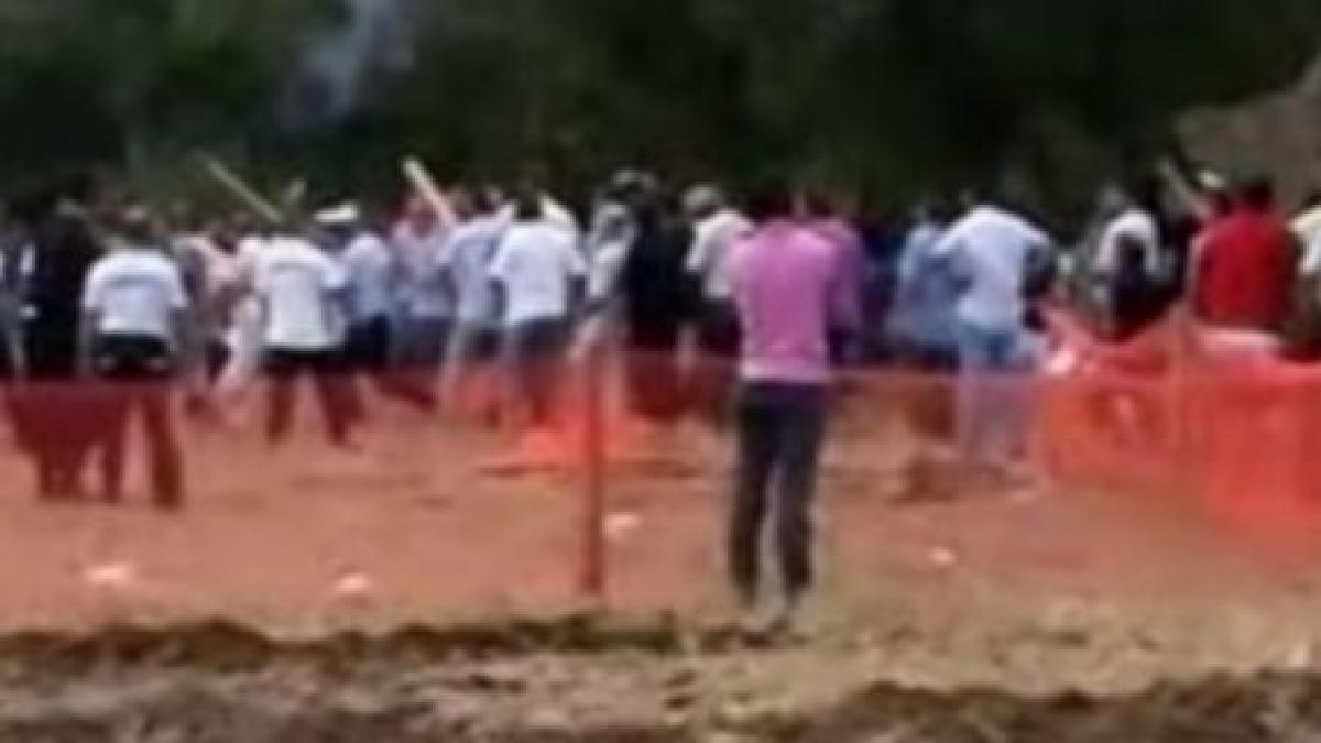 scandalul de la cogealac filmat de un cameraman amator video