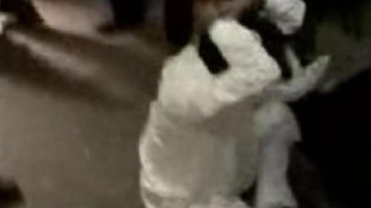 bataie cu pumni si scaune in parlamentul indiei video