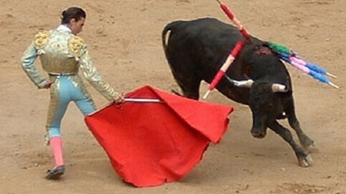 coridele interzise in catalonia de la 1 ianuarie 2012 video