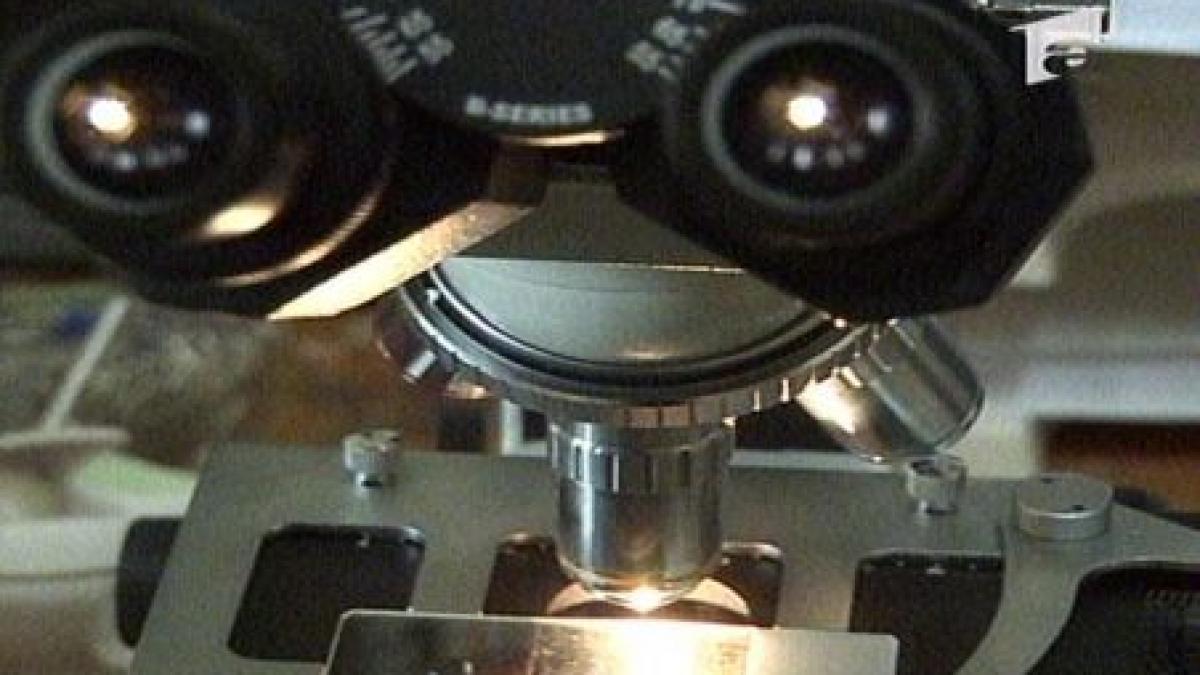 cercetatorii din romania nu mor de foame ci de nervi ei cauta parteneri sa le puna in practica