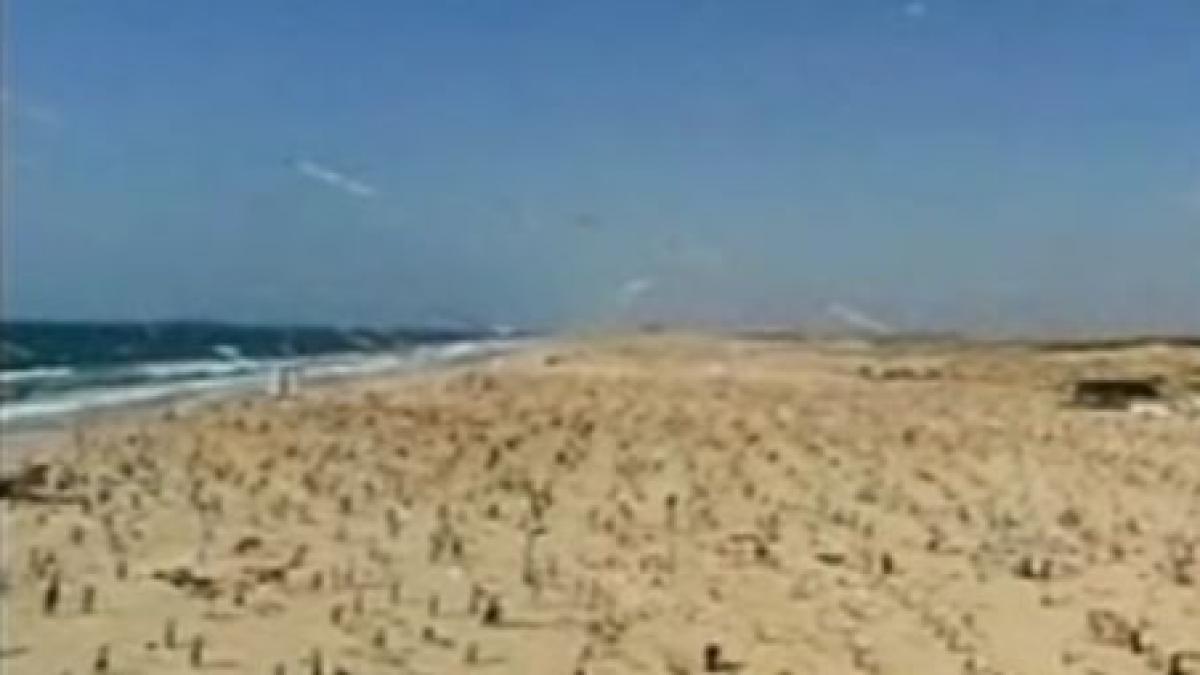 mii de copii din gaza s au adunat pe o plaja pentru a dobori recordul mondial la inaltat zmeie video