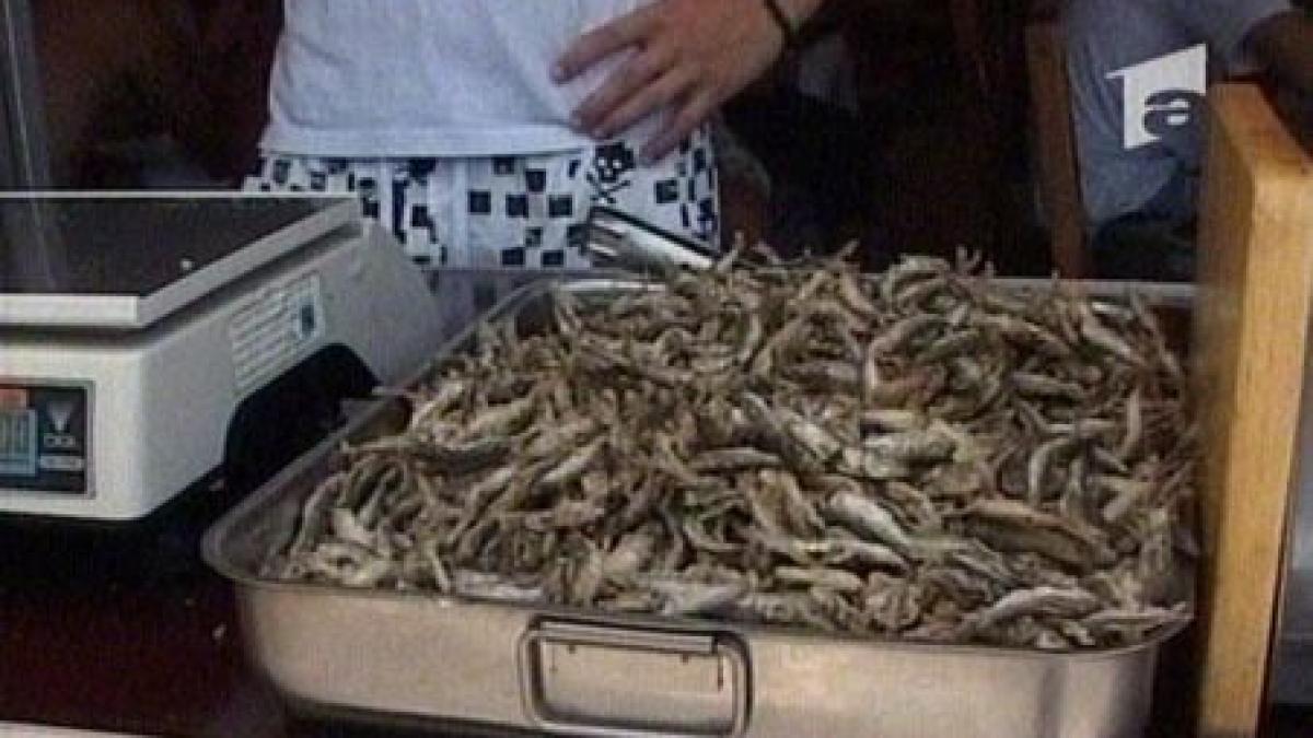 zeci de turisti de pe litoral au ajuns la spital dupa ce au consumat hamsii si shaorma video