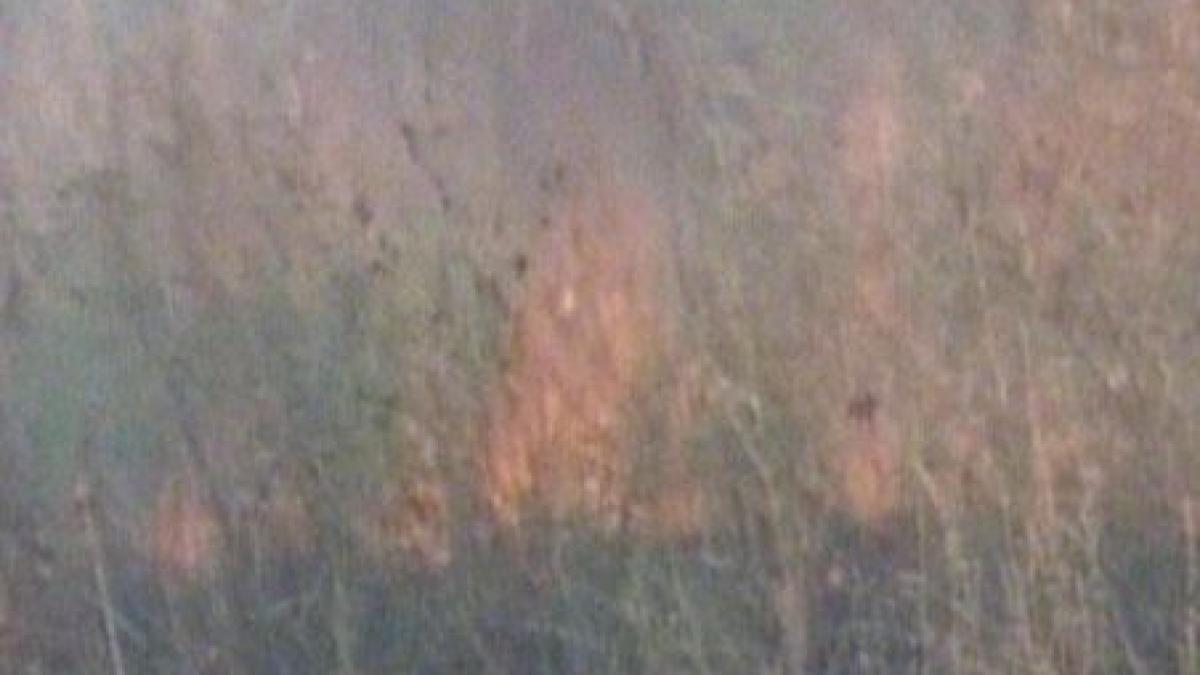 depozit de rachete din rusia evacuat de urgenta din cauza incendiilor de padure video