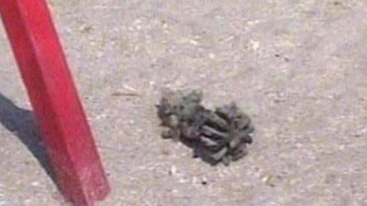 proiectil din al doilea razboi mondial descoperit de un turist pe plaja din mamaia video