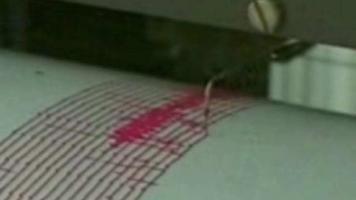 doua cutremure cu magnitudinea peste 4 pe scara richter resimtite in bulgaria