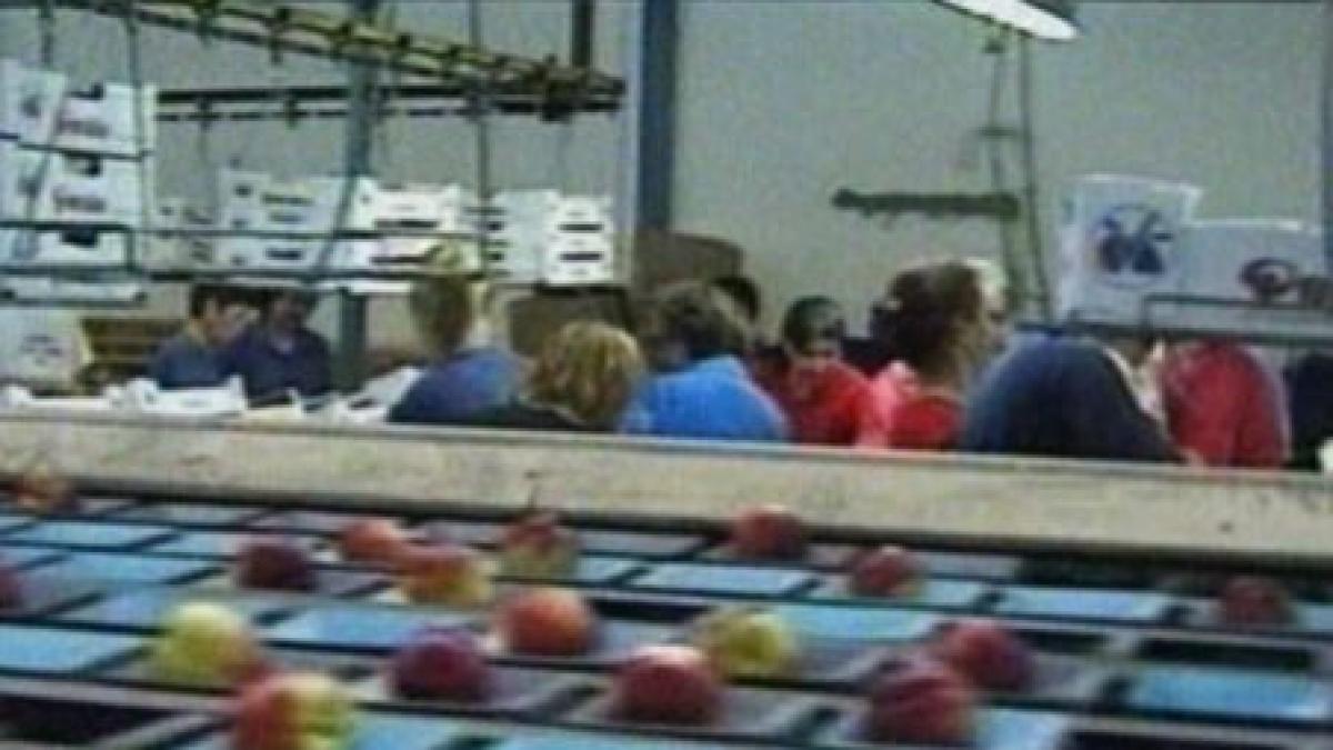 romanii din strainatate care au muncit la negru vor sa cotizeze retroactiv la fondul de pensii