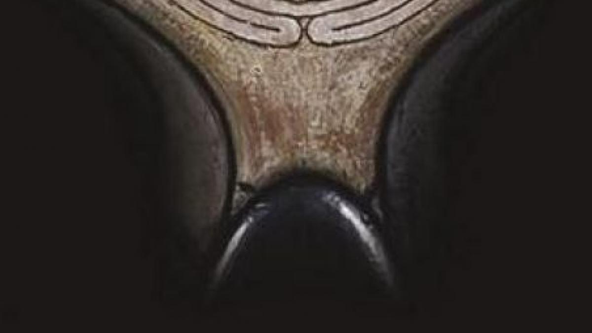 reincarnarea doctrine marturii experiente numai cu revista felicia