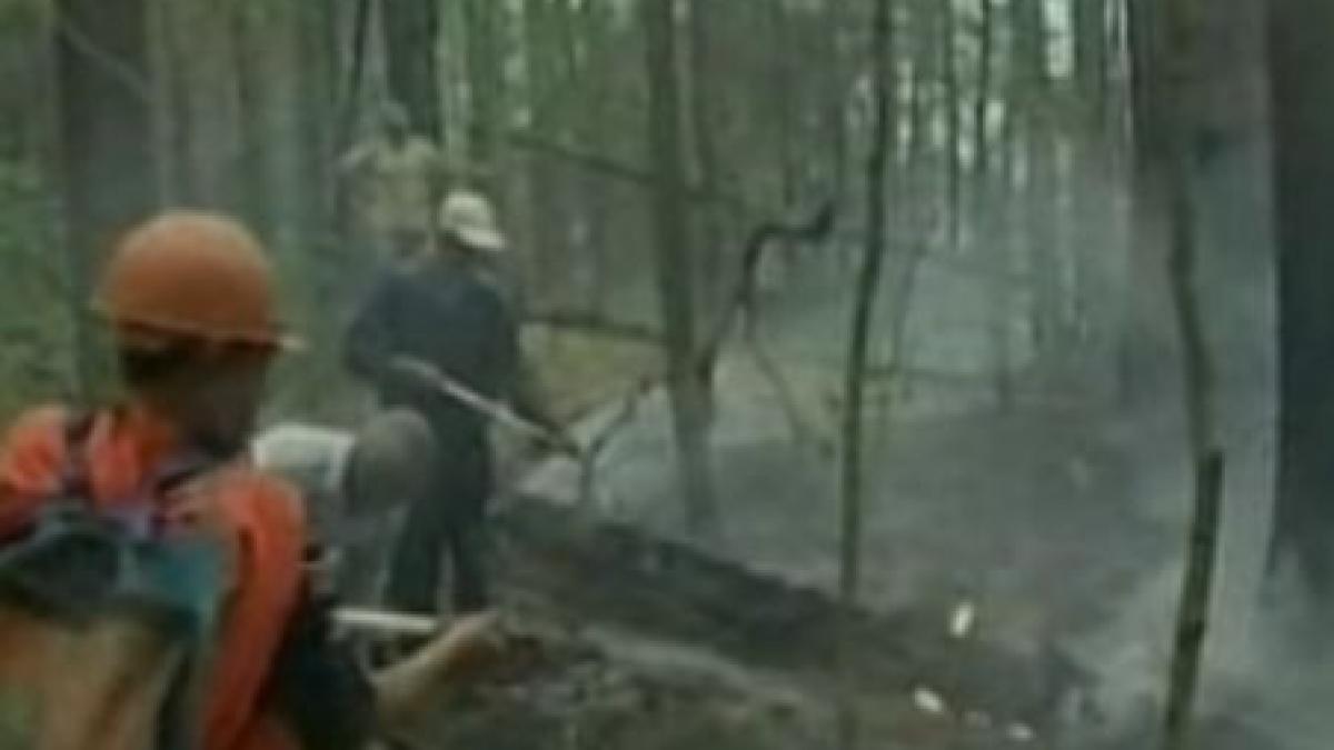 incendiile de turba din rusia cauzate de erori umane comise cu zeci de ani in urma presa