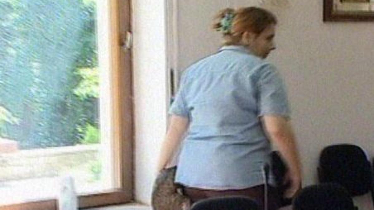 o pisica deranjeaza o conferinta de presa a liberalilor video