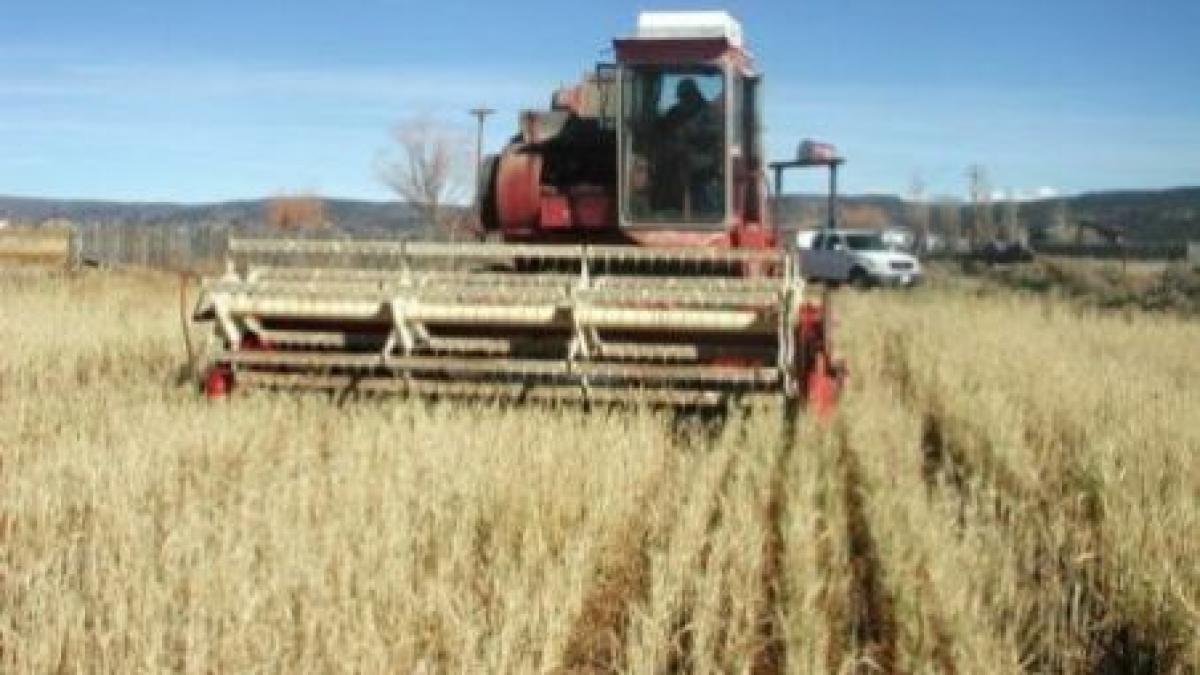 romania pe locul 8 in ue dupa ce a atras fonduri europene in 2009 in agricultura de 2 1 mld euro