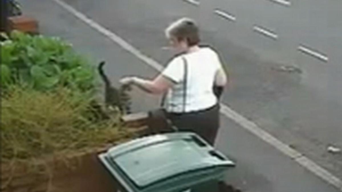 amenintata cu moartea dupa ce a aruncat o pisica la gunoi video