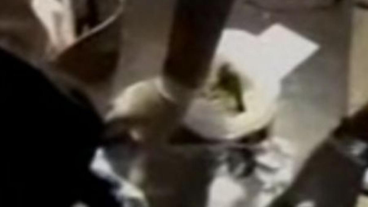 doi tineri din iasi prinsi cu 350 grame de cannabis video