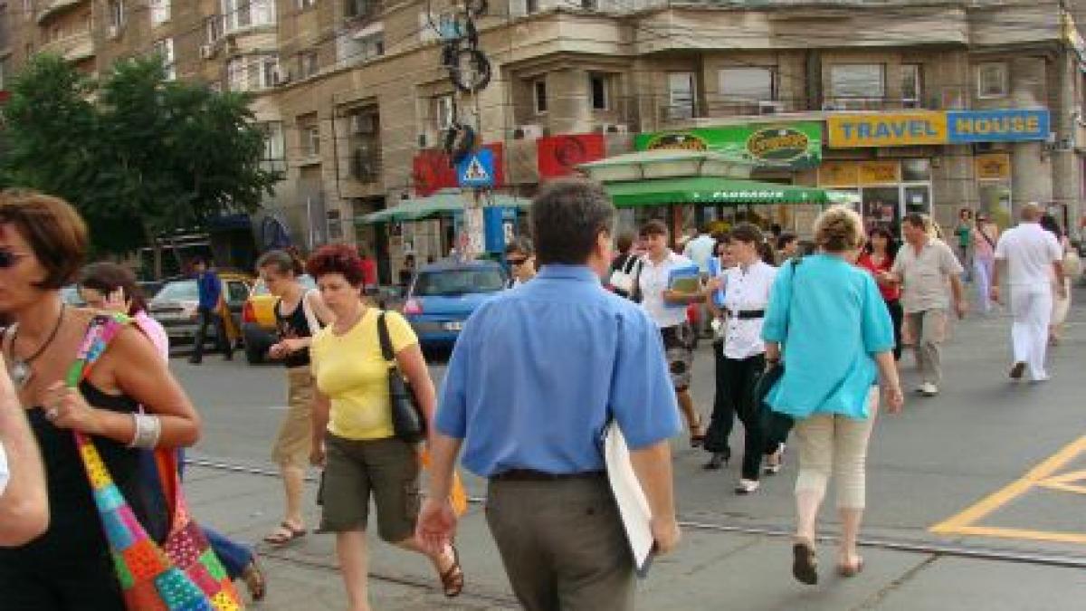 problemele romaniei in viziunea politicienilor functionarul obez elefantul si sturionii de calafat problemele romaniei in viziunea politicienilor functionarul obez elefantul si sturionii de calafat