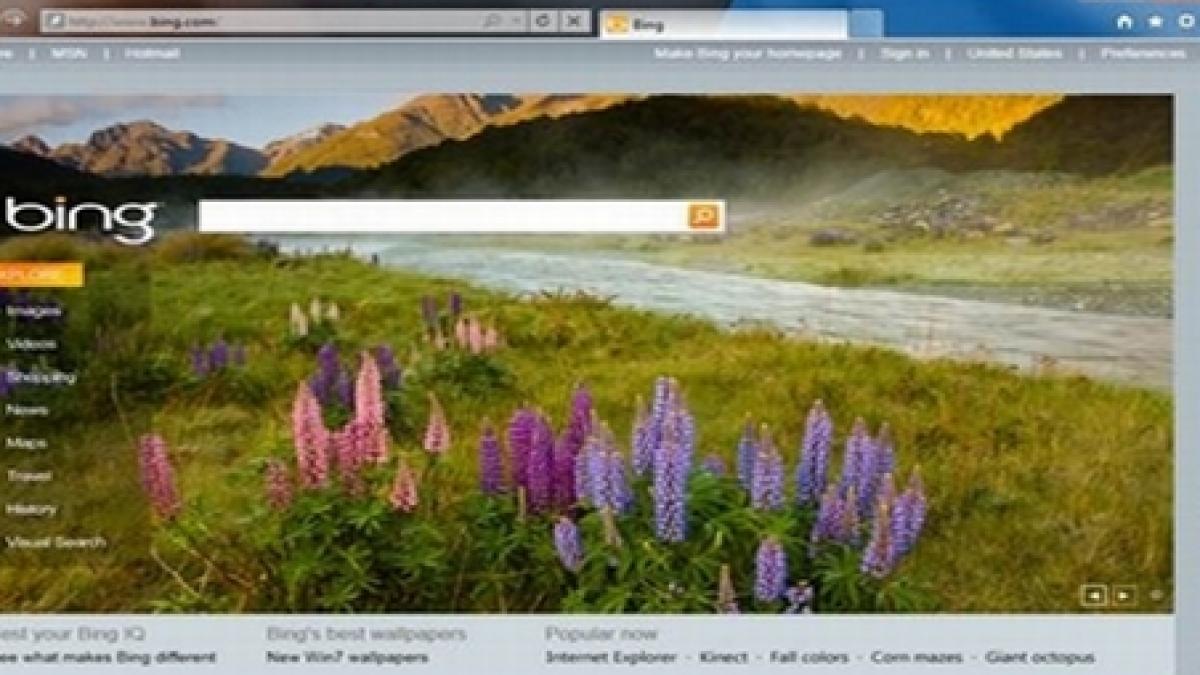 internet explorer 9 in imagini publicate accidental pe internet