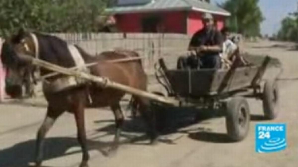 reportaj al jurnalistilor francezi despre romii expulzati viata e dura in romania video