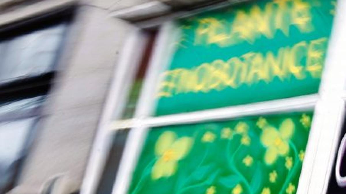 goana nebuna un sofer care consumase substante etnobotanice a incercat sa fuga de politisti