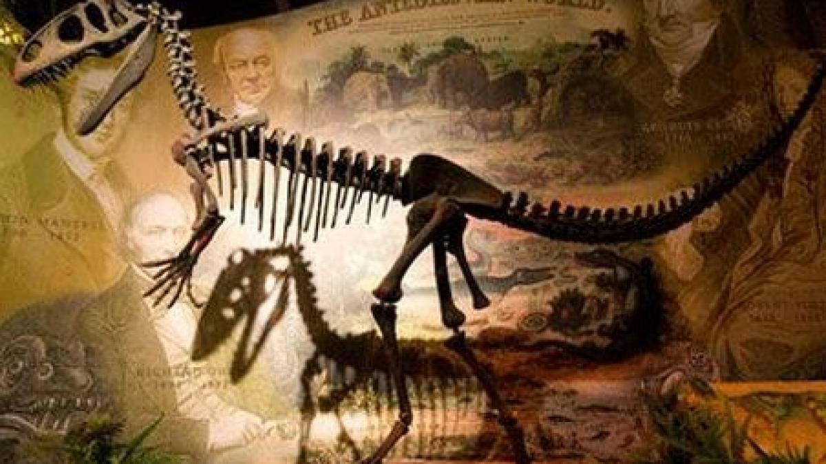 balaurul bondoc o noua specie de dinozaur descoperita in romania