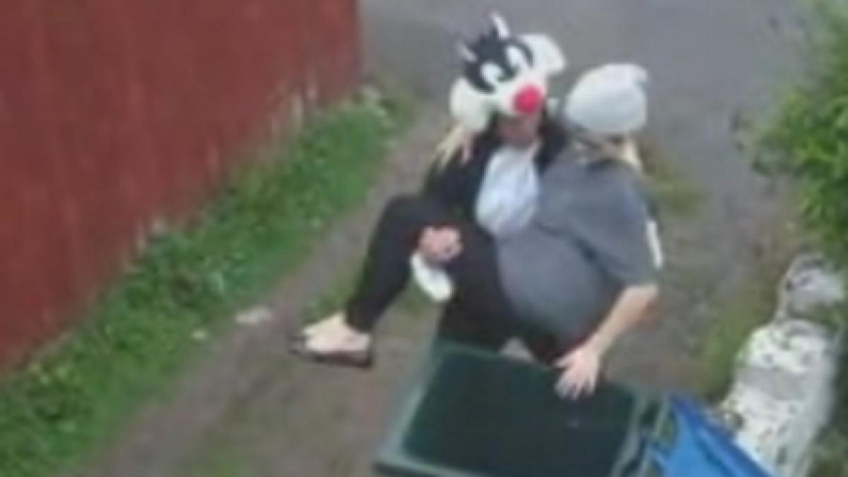 razbunarea pisicii parodie dupa filmuletul in care o britanica arunca o felina la gunoi video