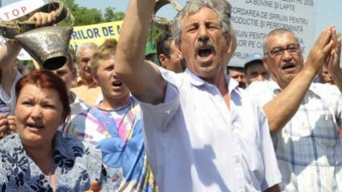 agricultorii au iesit sa protesteze in mai multe orase video