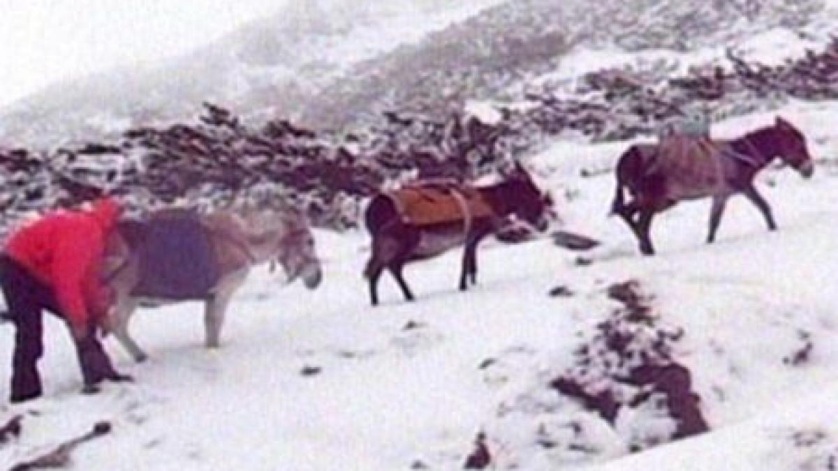 viscol ceata si 15 centimetri de zapada in masivul retezat