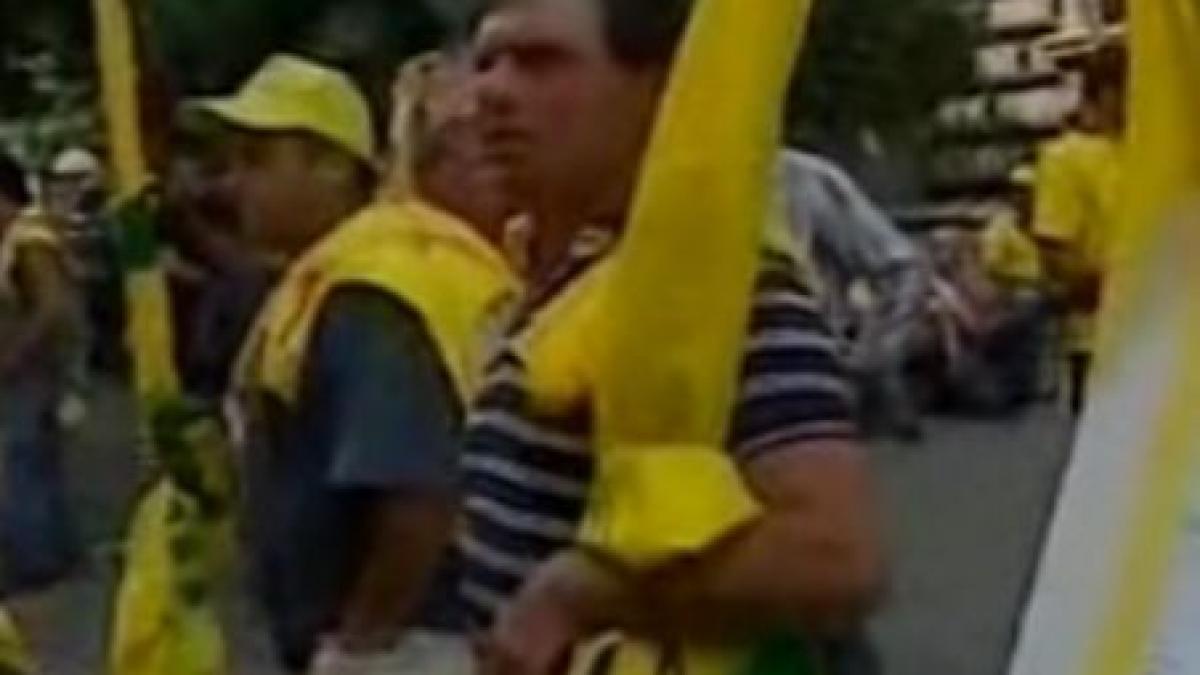 ciobanii italieni acuza statul de concurenta neloiala cu branza produsa in romania video