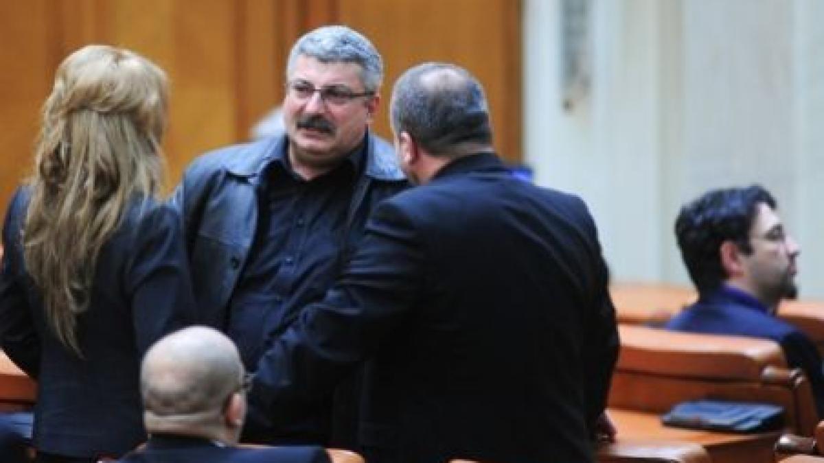 silviu prigoana cere trecerea tvr international in subordinea mae