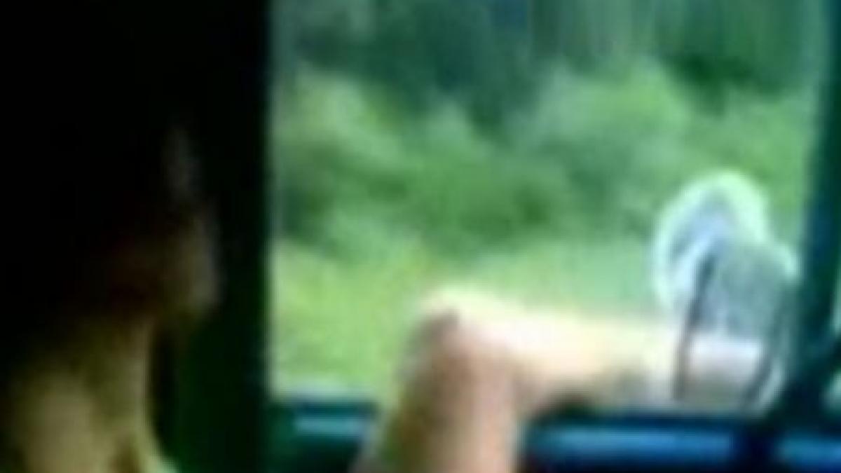 tarzan revine beat la volan si cu picioarele scoase pe geam video