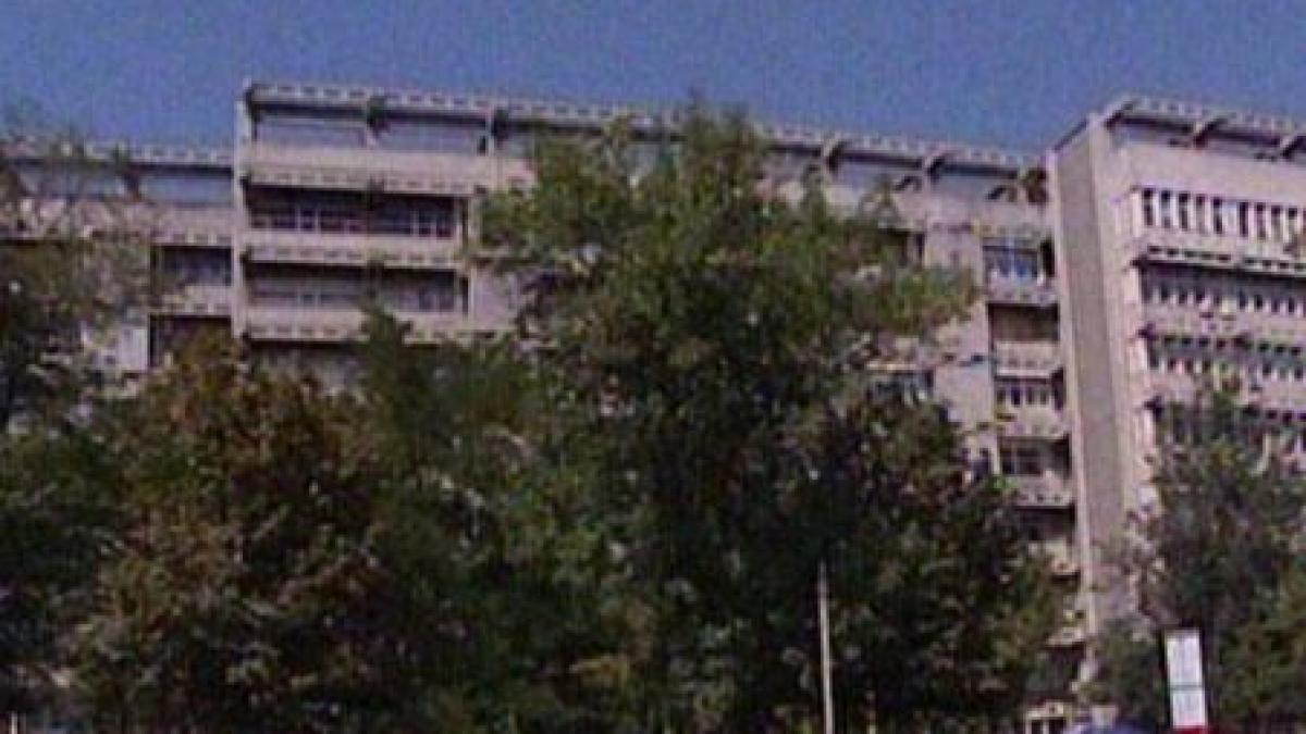 doi porci mistreti in curtea spitalului fundeni video