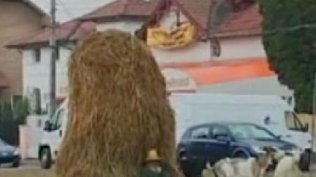 Protest inedit în Alba Iulia: Un cioban şi-a adus caprele în centrul oraşului (VIDEO)