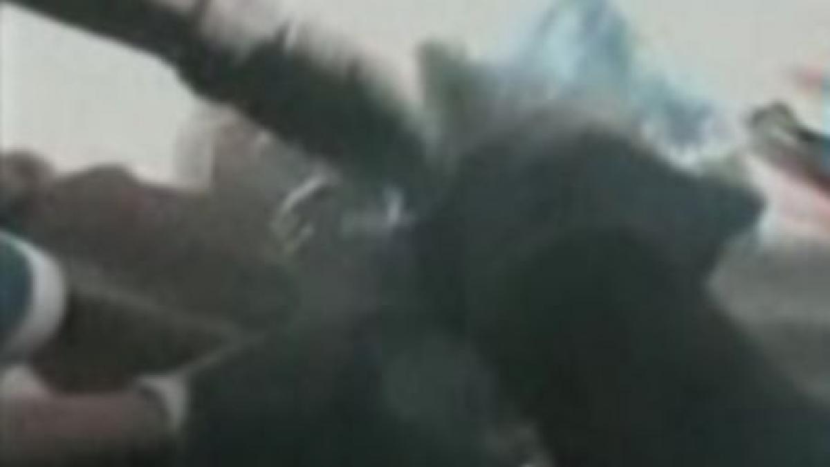 important distribuitor de droguri prins cu jumatate de kilogram de cocaina video