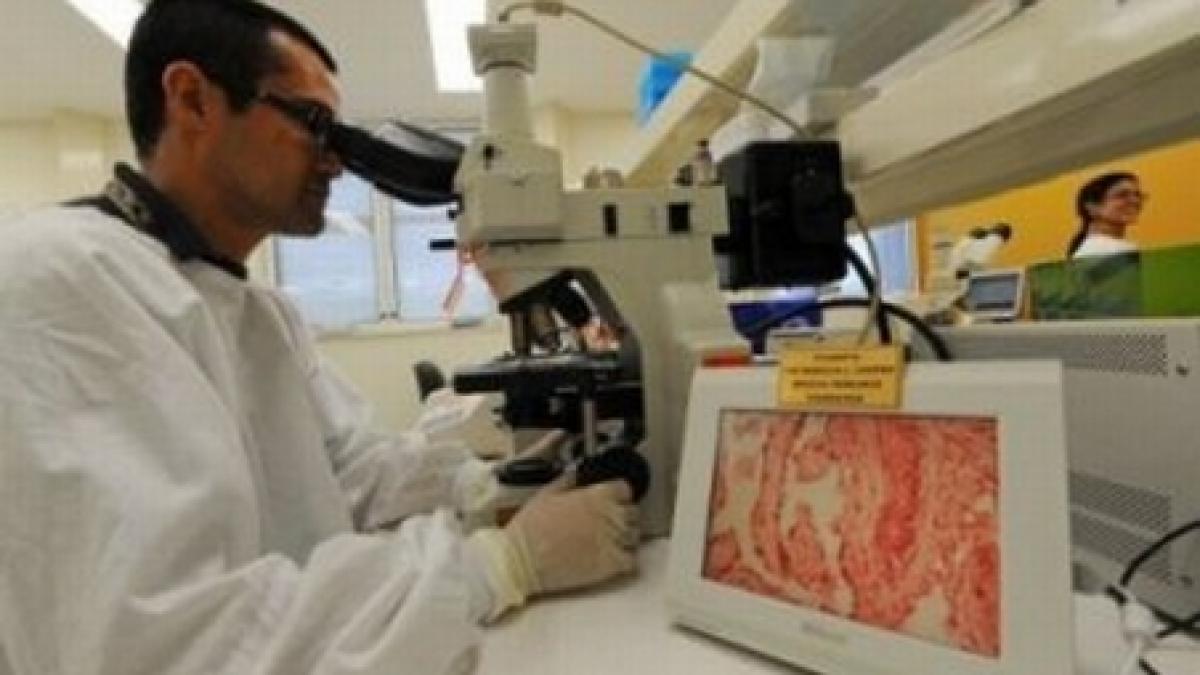 Superbacteria din India, o ameninţare globală: "Este ca o bombă cu efect întârziat"