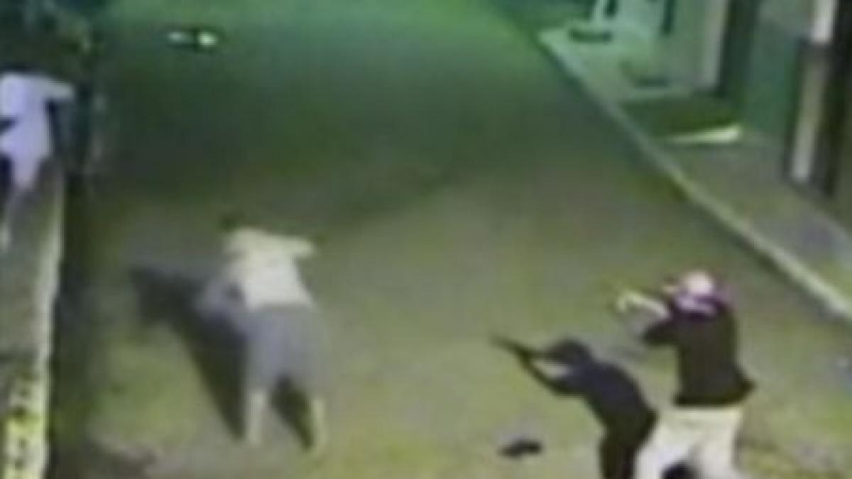 politician din brazilia executat in plina strada video