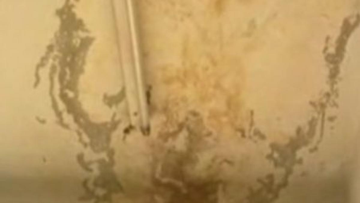 cabinetele scolare din galati in stare deplorabila video