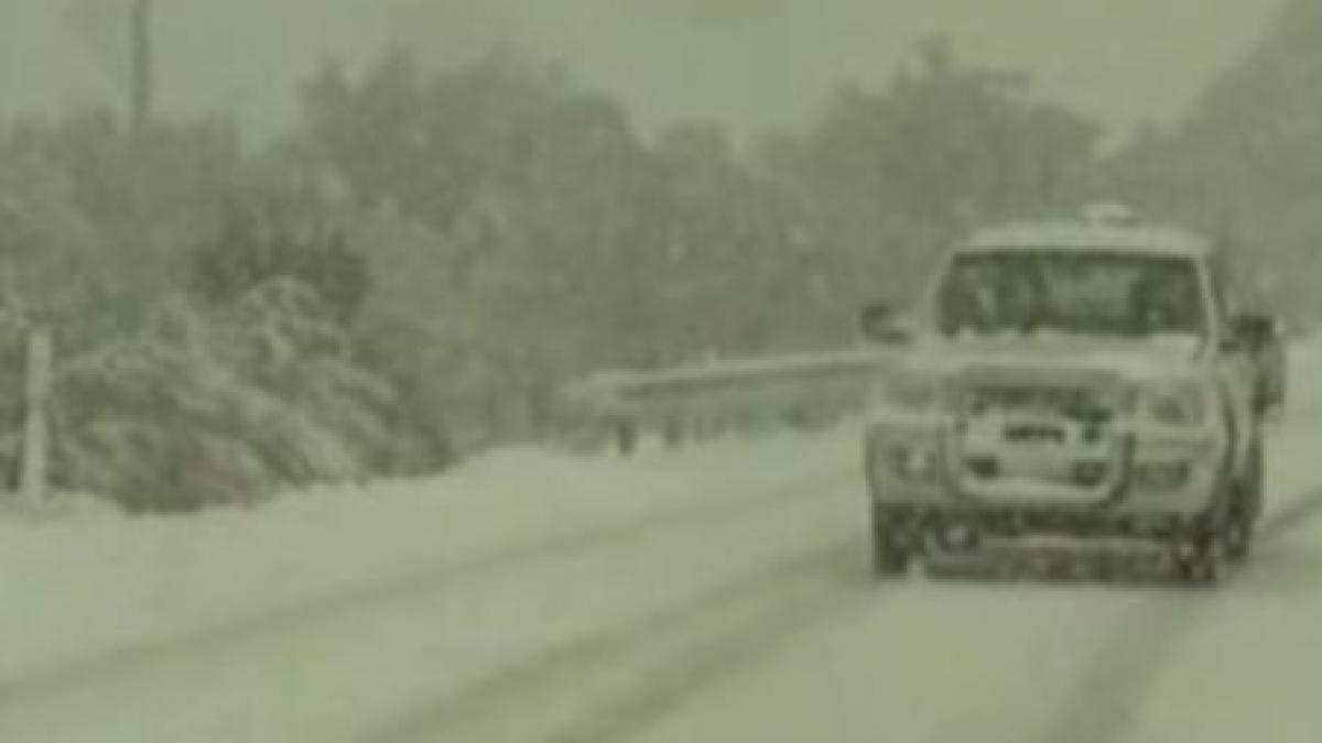 ninsorile le dau batai de cap australienilor video