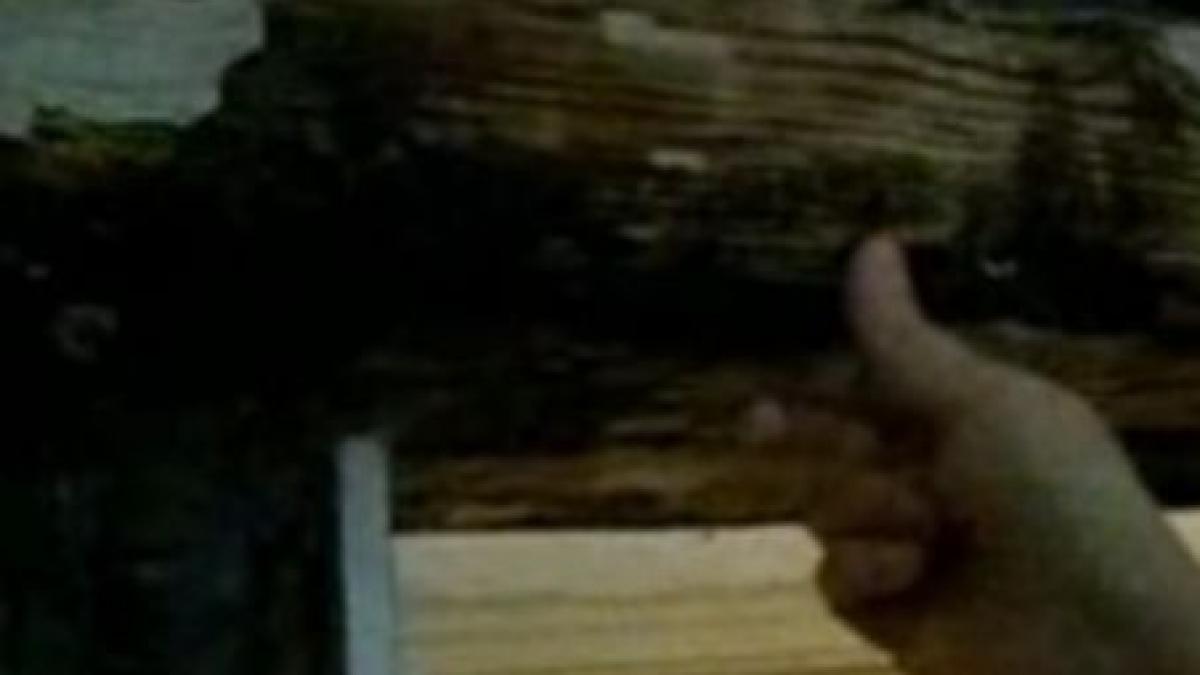 iasi spitalul de urgente nu a mai primit nici o investitie din 1900 anul construirii video