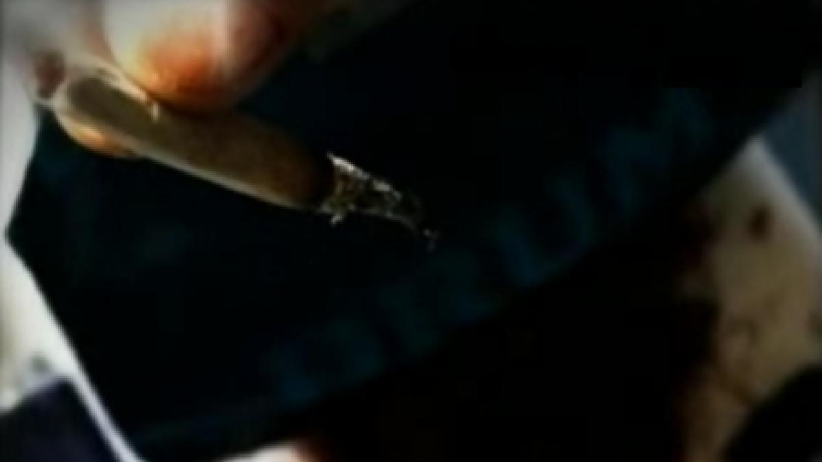 magazinele de vise iau locul dealerilor de droguri video