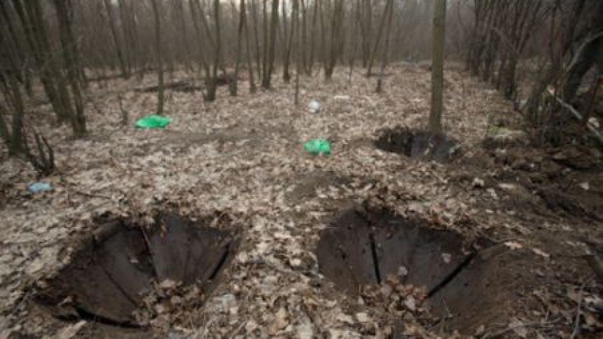 un afacerist din iasi a fost gasit mort intr o padure la patru luni de la disparitie