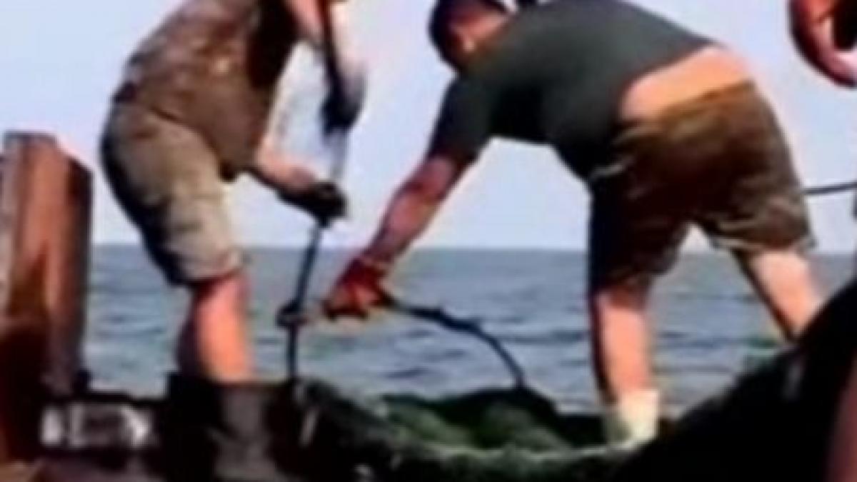 sute de africani si chinezi sclavi pe nave de pescuit din europa video