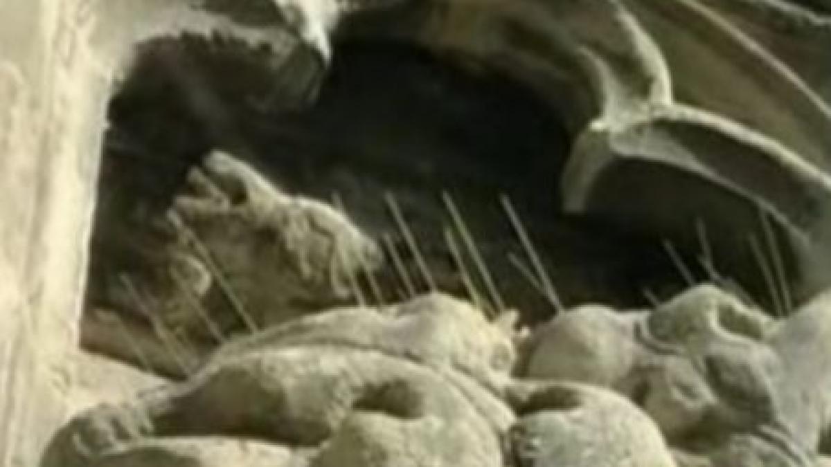 tepuse metalice pe biserica neagra pentru alungarea porumbeilor video