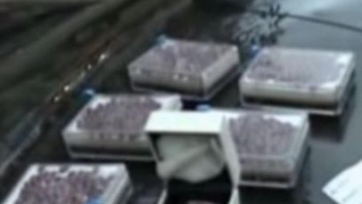 un italian si o romanca prinsi in timp ce incercau sa vanda 6 400 de rubine video